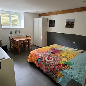 Alpagas Du Domaine Mael , Saint-Antoine (Isere) France